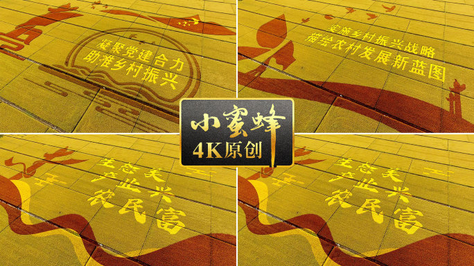 稻田字稻田画15