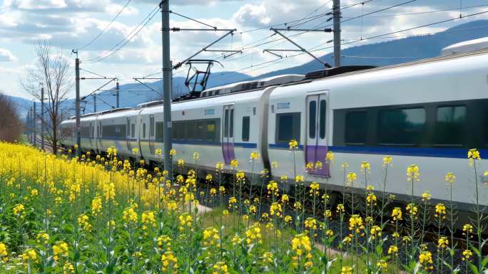花海中的高速列车