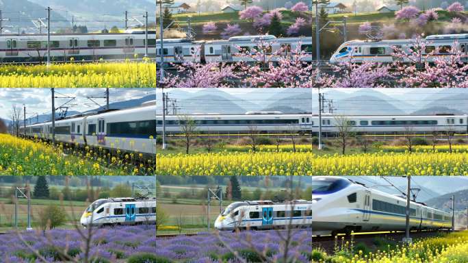 花海中的高速列车