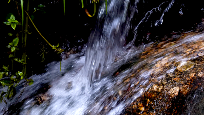 森林中的山间瀑布流水小溪