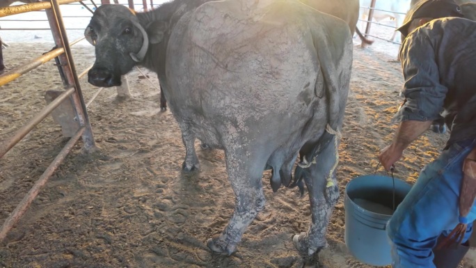 捕捉艰苦体力劳动的真实场景，一位农民开始他的一天，进行有节奏的工作。