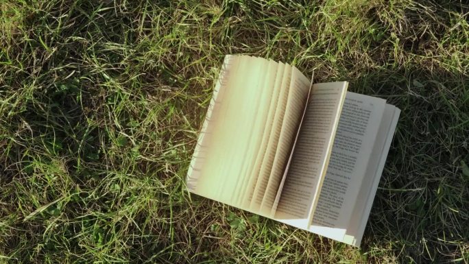 从上方俯视草地上打开的书本，阳光照射