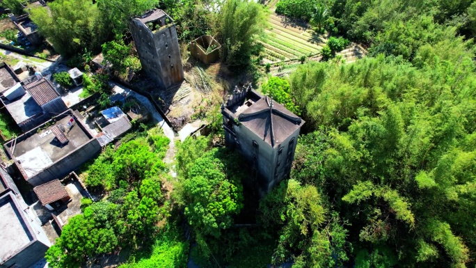 广东台山、台山市、端芬镇、大金田、平安里