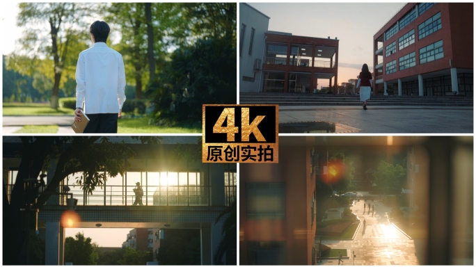 夕阳下的校园剪影林荫道校园人文