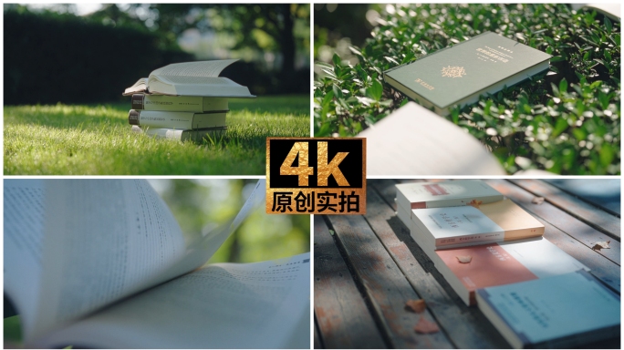 阳光下的书籍 书籍特写 哲学