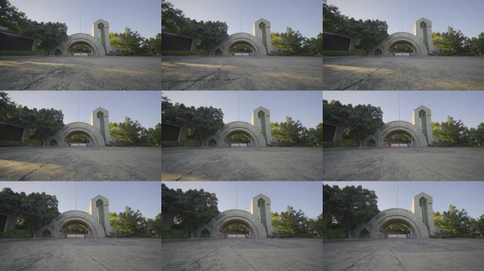 四川攀枝花苏铁保护空镜