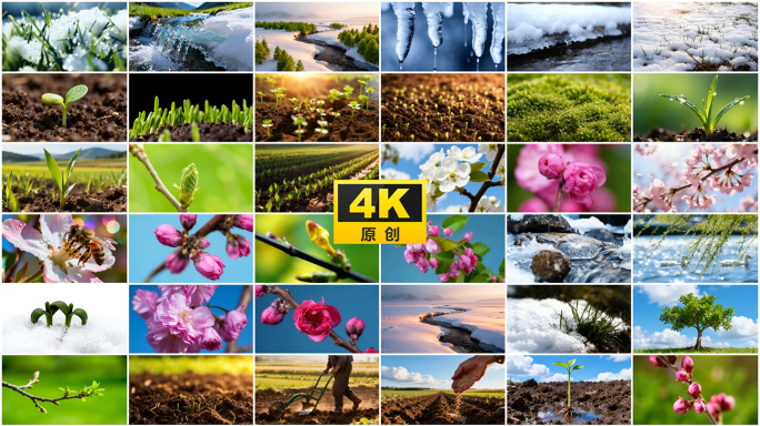 春天春季春分立春大自然万物复苏生机勃勃