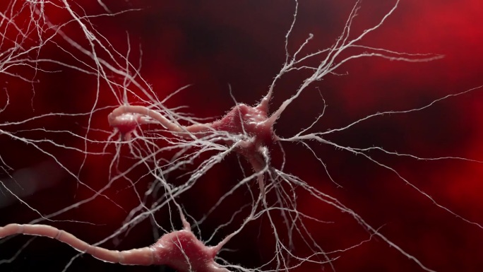 神经冲动通过轴突和树突传递的高细节展示。数字插图强调了研究和医学。