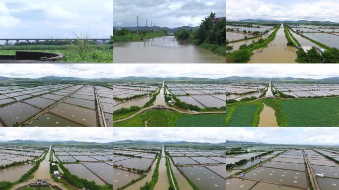 航拍万亩水产养殖基地