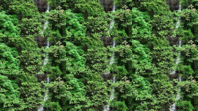 航拍桂林清江田森林瀑布