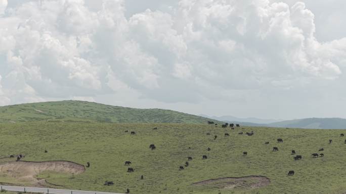 草原牧场牛羊