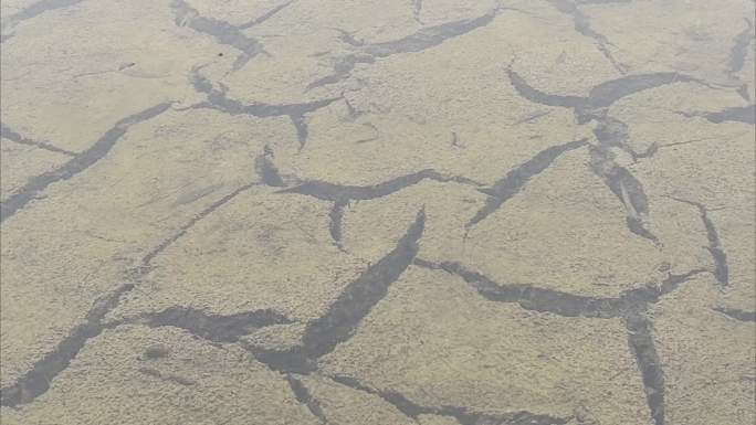 雨后干旱的湖面环境对比