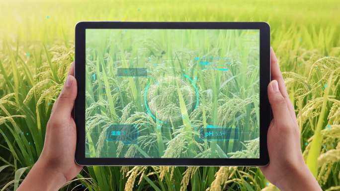 5G科技农业科技水稻数据监测