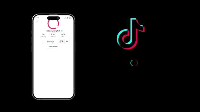 TikTok  UI界面风格包装动画