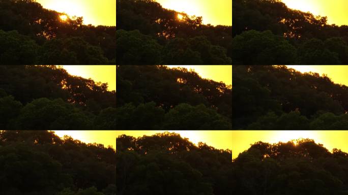 朝阳穿透树叶阳光