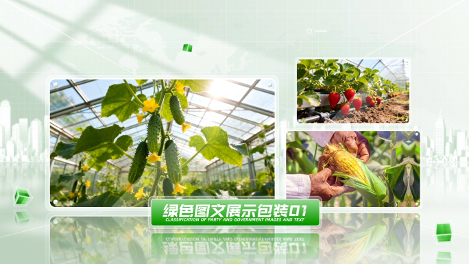 绿色简洁明亮多图文展示包装