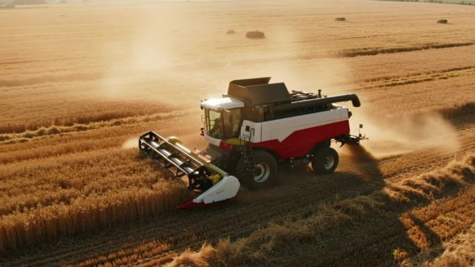 农业乡村振兴丰收农村水稻农业风景粮食乡村