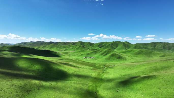 航拍蓝天白云阳光下的甘南草原