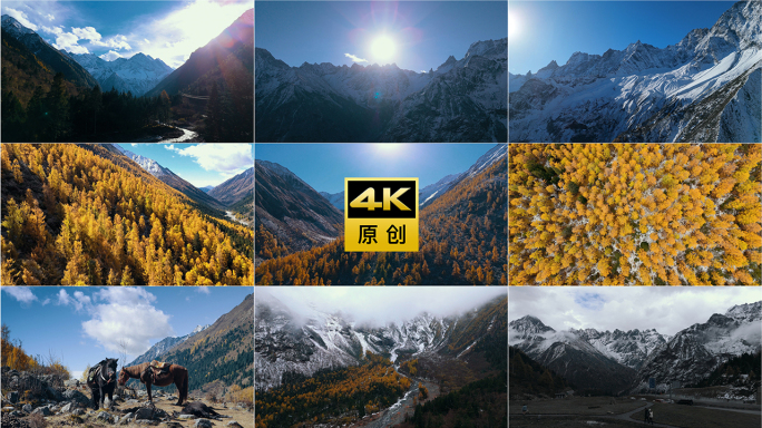 理小路秋景航拍精选合集