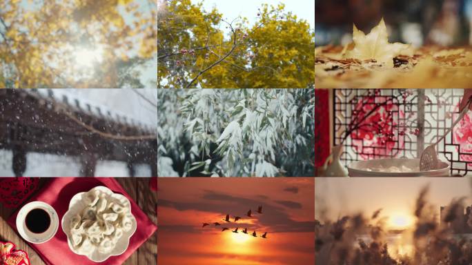 立冬 立冬节气 下雪 冬天风景 冬天暖阳
