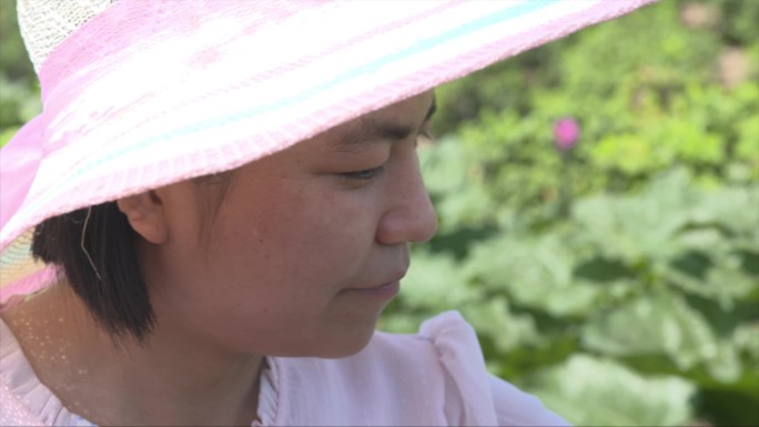 花农采摘玫瑰花蕾