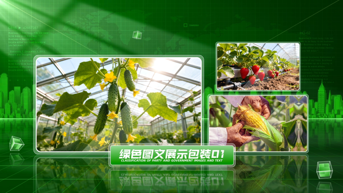 绿色农业多图文展示包装