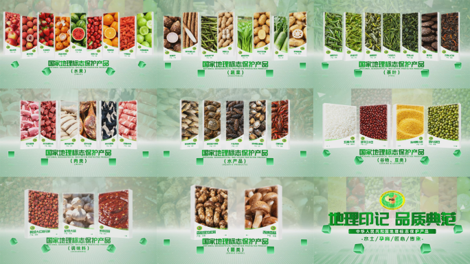 简洁明亮绿色农业图文分类模板