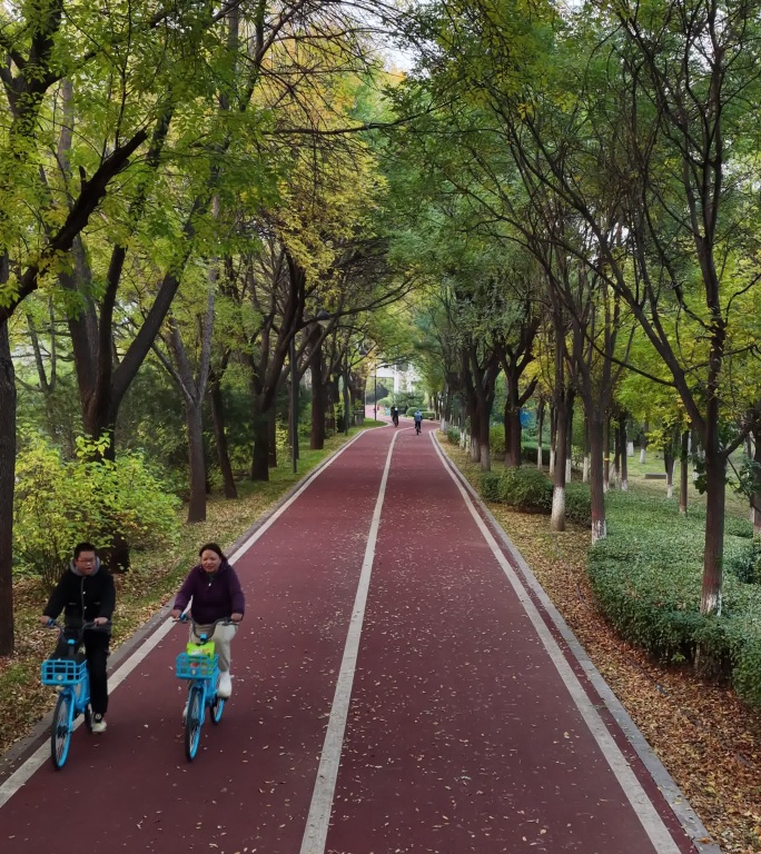 太原自行车道 城市健身跑步骑行