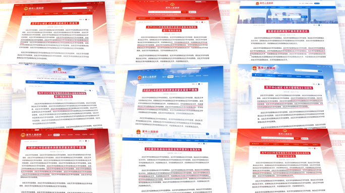 政府网站政策文件公示网页重点划线文件展示