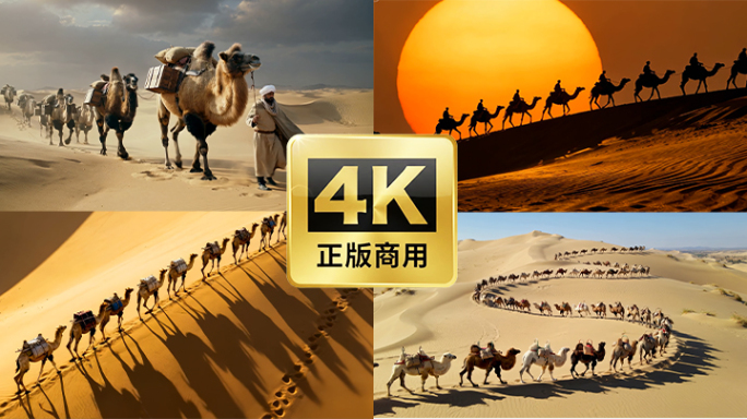 一带一路沙漠骆驼丝绸之路沙漠海上丝绸