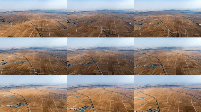 河南收麦麦田丰收