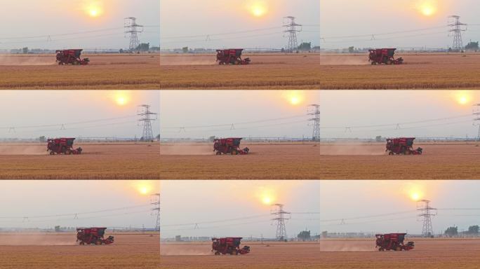 河南收麦麦田丰收收割机特写