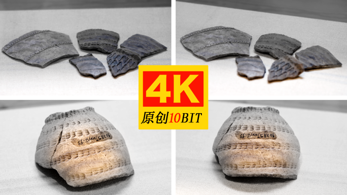 新石器晚期宝墩遗址出土纹饰陶片陶尊