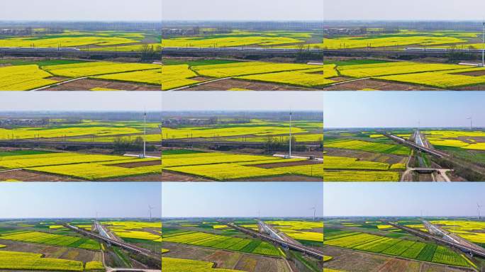 中国高铁开往春天的列车高铁穿行油菜花海