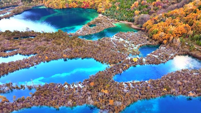4K阿坝州九寨沟景区树正群海秋季航拍