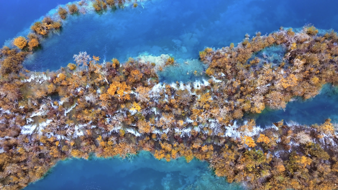 4K阿坝州九寨沟景区树正群海秋季航拍