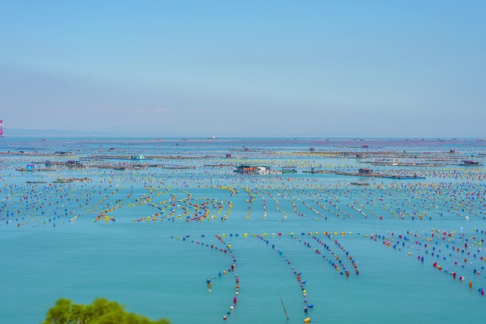 海上渔排养殖场海面渔业海上滩涂延时8K