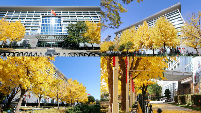 中国工商银行总行 工行总行 延时摄影