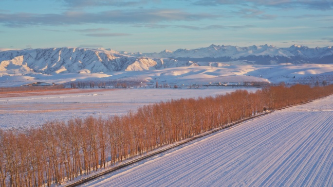 新疆伊犁雪山阿勒泰雪景雪原日出【8K】