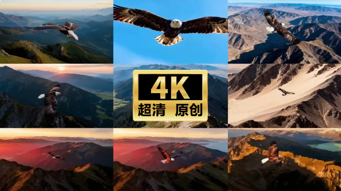 雄鹰翱翔山脉壮丽景色