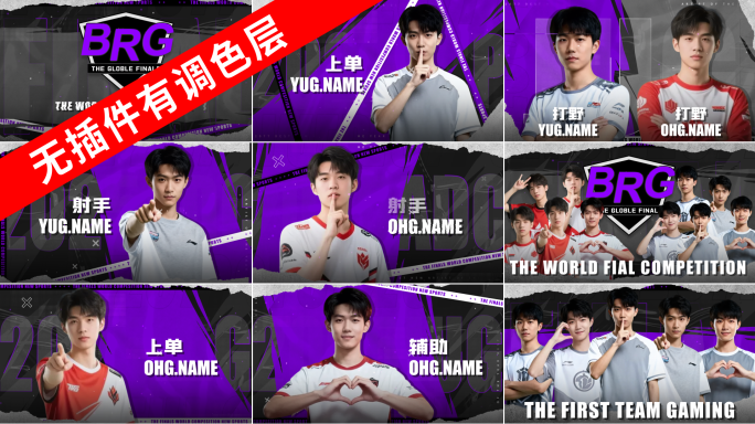 紫色10人物介绍游戏战队队伍体育运动比赛