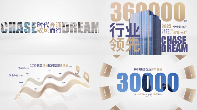 2025投资企业年终数据总结报告