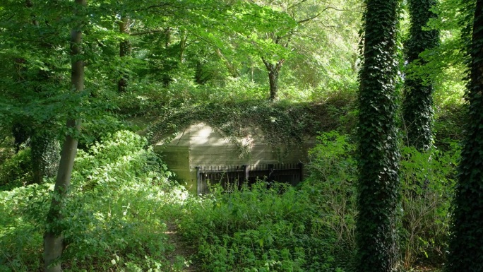 阿梅斯福特森林中隐藏的老旧历史二战碉堡，被杂草覆盖。
