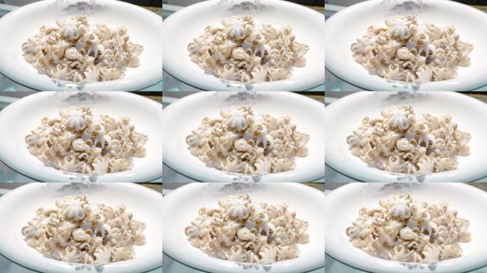 一盘小八爪鱼特写