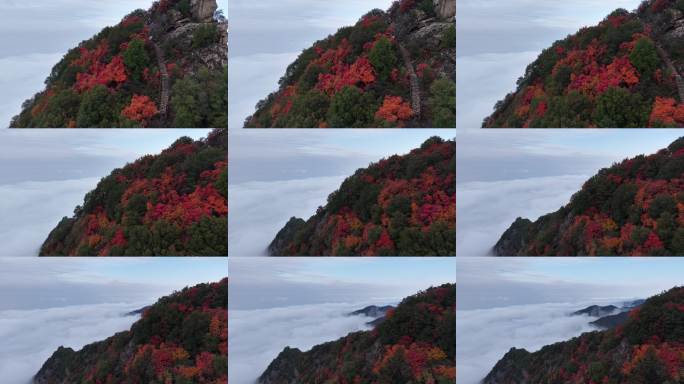 西安 秦岭 翠华山 景区 红叶航拍