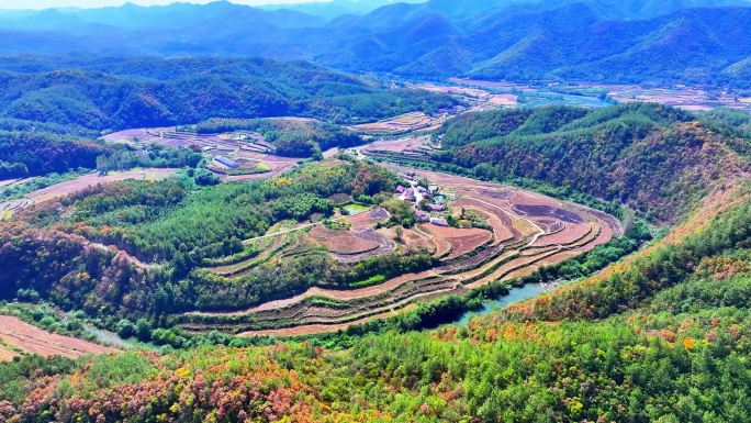 客店镇  葛神谷 钟祥市 满山红叶 梯田