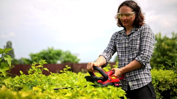 在花园里用电动修枝剪修剪绿色的树篱