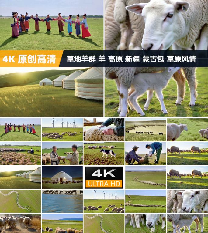 草地羊群 羊 新疆 蒙古包 草原风情