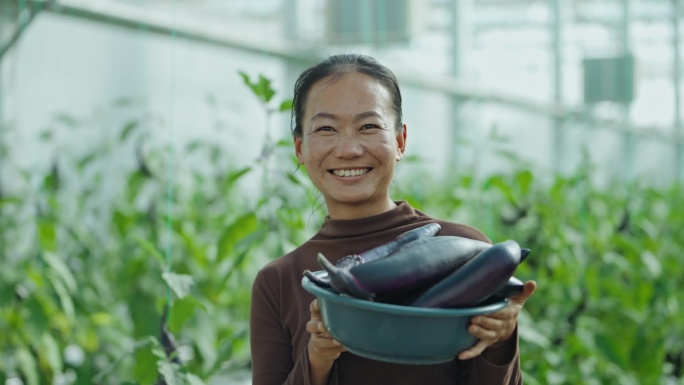 茄子大棚采摘农民笑脸