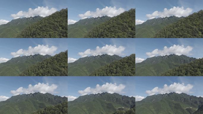 连绵山脉航拍景色 神农架 五指峰